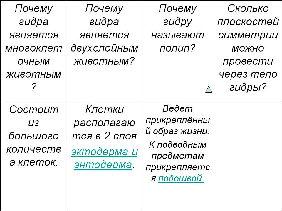 Скачать кракен тор