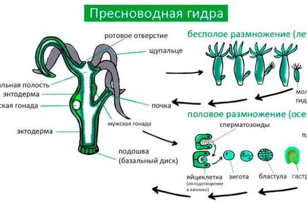 Как вывести деньги с kraken