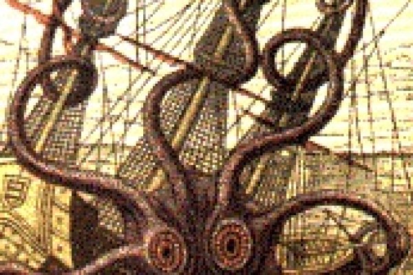 Kraken 13at