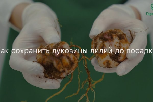 Как зайти на кракен через тор браузер