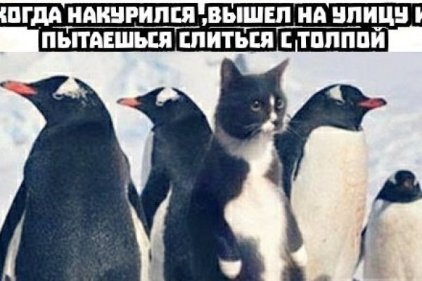 Рабочий сайт kraken