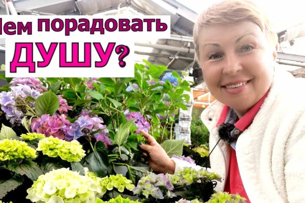 Кракен маркетплейс ссылка телеграмм